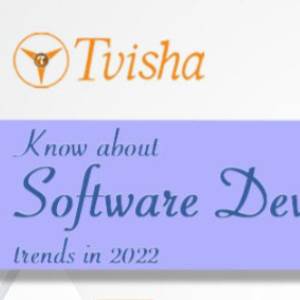 software software process